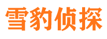 索县市调查取证